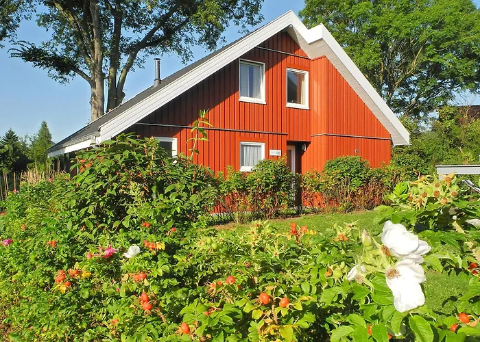 Ferienhaus Wildgans Classic 249 *